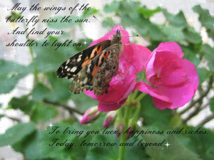 May the wings of the butterfly kiss the sun. And find your shoulder to ...