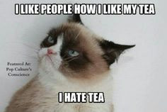 grumpy cat i like people how i like my tea i hate tea