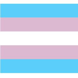 transgender_pride_patches.jpg?height=250&width=250&padToSquare=true