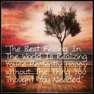 The best Feeling in the world is realizing you're perfectly happy ...