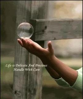 Life is delicate and precious handle with care.
