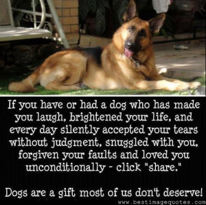 If you ever have or had a dog who has made you laugh-dog quotes