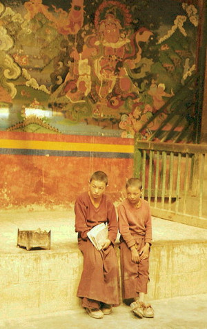 Buddha Quotes Online