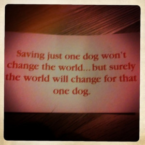 Wouldn’t you hope that someone would adopt you and save your life ...