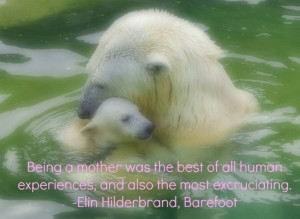 ... , and also the most excruciating. -Elin Hilderbrand, Barefoot