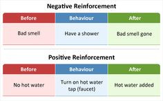 Comparing negative reinforcement with positive reinforcement - bad ...