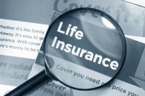 30 Life Insurance Quotes