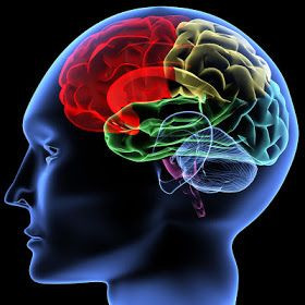 Awesome Quotes: Top 10 brain Damaging habits: