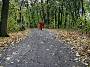 The Scarlet Letter Forest Symbolism
