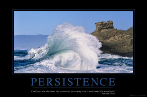 Persistence Produces Success