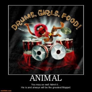Animal rocks.. Cuz he’s the most cool Muppet