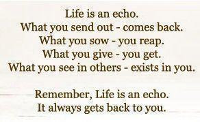 Inspirational Quotes life is an echo it always gets back to you