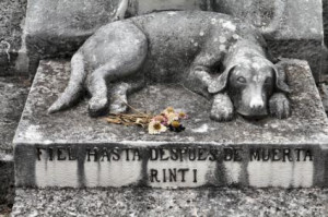 153146 425x283 Dog grave marker Poem About Death Of A Dog