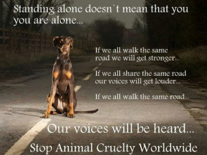 Stop animal cruelty worldwide.