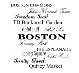 Boston Commons, John hancock tower, freedom trail, TD banknorth garden ...