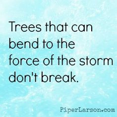 Trees that can bend to the force of the storm don't break. (post on ...
