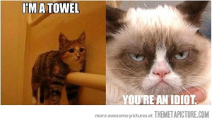 Look At Me, I'm A Towel Very Funny Cat And Grumpy Cat Meme Picture