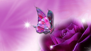 butterfly for laptop desktop wallpaper download awesome butterfly ...