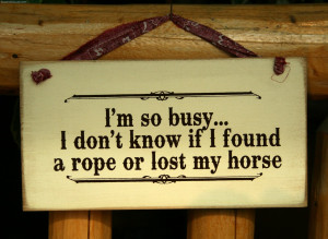 So Busy, I Don’t Know If I Found A Rope Or Lost My Horse