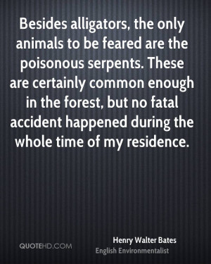Besides alligators, the only animals to be feared are the poisonous ...