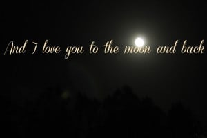 Back to the Moon and Love You Quotes