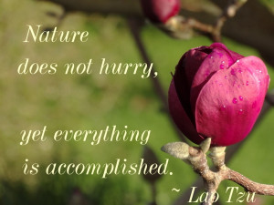 Nature does not hurry - quote by Lao Tzu