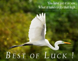 Good Night and Good Luck Messages – Good Luck messages