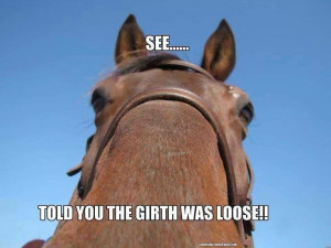 Hahah funny horse quotes!:)