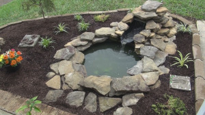 decorative-garden-pond-setup.jpg