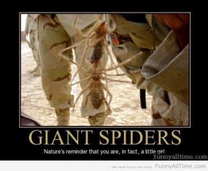 Funny Quotes About Spiders