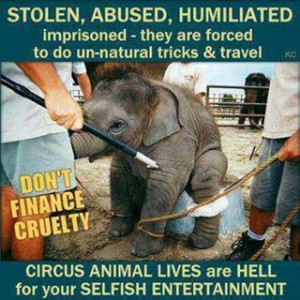 No to the circus