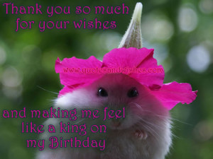 Thank You So Much For Your Wishes And Making Me Feel Like A King On My ...