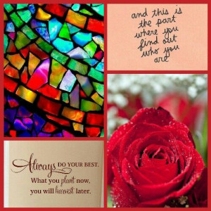 Red Rose and Quotes and Stained Glass