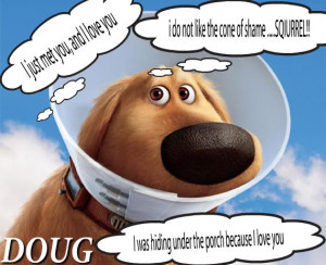 Dog Quote – I Just met You and I Love You