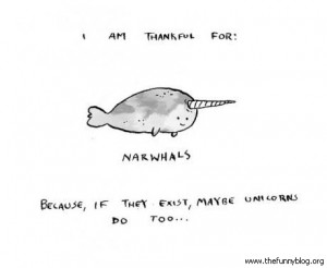 Narwhal1