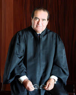 Citizen U.S. Supreme Court Justice