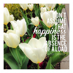 Lds conference 2014 Elder Bednar