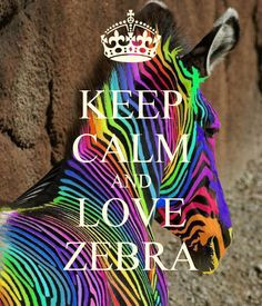keep calm and love zebra more keep calm and love zebras things zebras ...