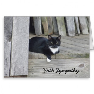 Sympathy Card -- Loss of Cat
