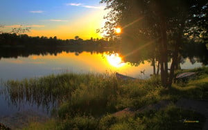 summer-sunset-sunset-lake-summer-quiet-boat-pond-evening-free.jpg