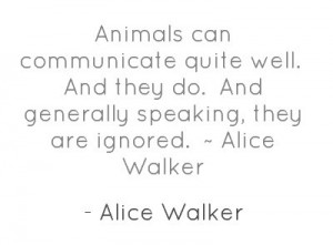 Alice Walker. And that is why I don't eat them.
