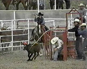rodeo_calf_rope_gate_going_l.jpg