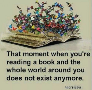 That moment when you're reading a book and the whole world around you ...