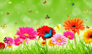Spring Flowers And Butterflies Wallpaper (9)