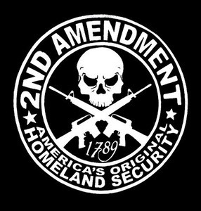 2nd Amendment: America's Original Homeland Security