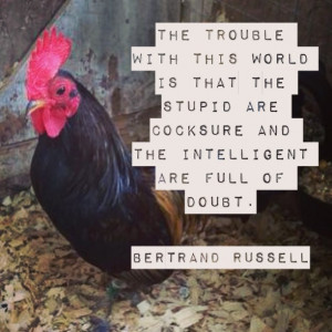 ... stupid-are-cocksure-bertrand-russell-daily-quotes-sayings-pictures.jpg