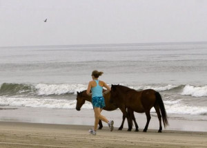 That picture of you running with the horse belongs on a poster ...