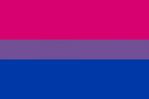 ... of the symbol, emblem, seal, sign, logo or flag: Bisexual pride flag