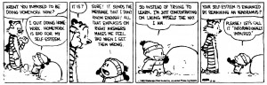 Calvin and Hobbes Cartoon About Homework