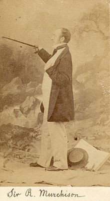 Sir Roderick Impey Murchison posing with cane, not dated